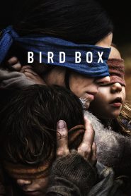 مترجم Bird box 2018