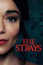 The Strays مترجم 2023