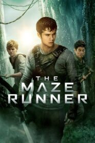 The maze runner مترجم 2014